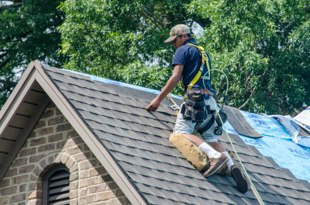 Roof Gutter Cleaning in Rector, AR